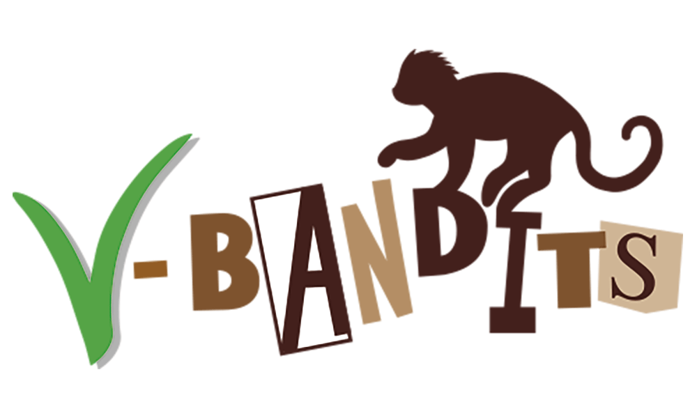 Gutschein V Bandits Veganes Restaurant In Ludwigsburg Bei Stuttgart